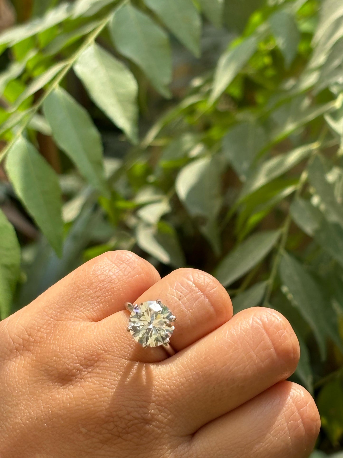 5 Carat Round F VS1 Classic Lab Diamond Ring on White Gold